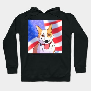 American Corgi Hoodie